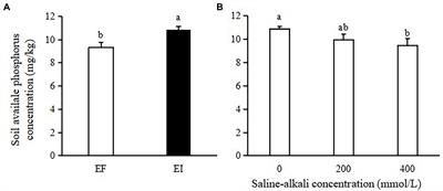 Epichloë endophyte interacts with saline-alkali stress to alter root phosphorus-solubilizing fungal and bacterial communities in tall fescue